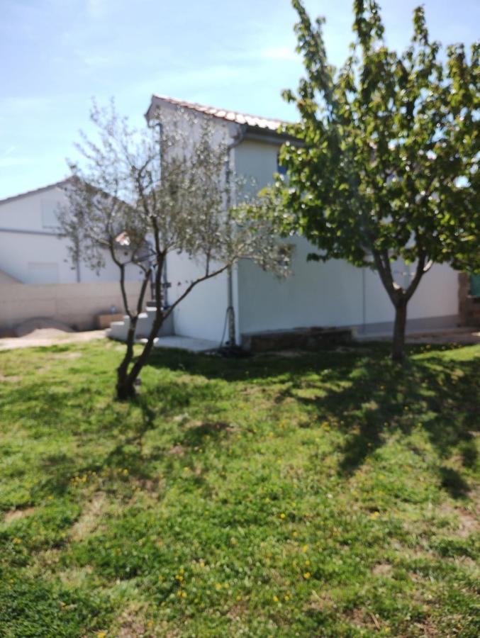 Murvica  Apartman Enia מראה חיצוני תמונה