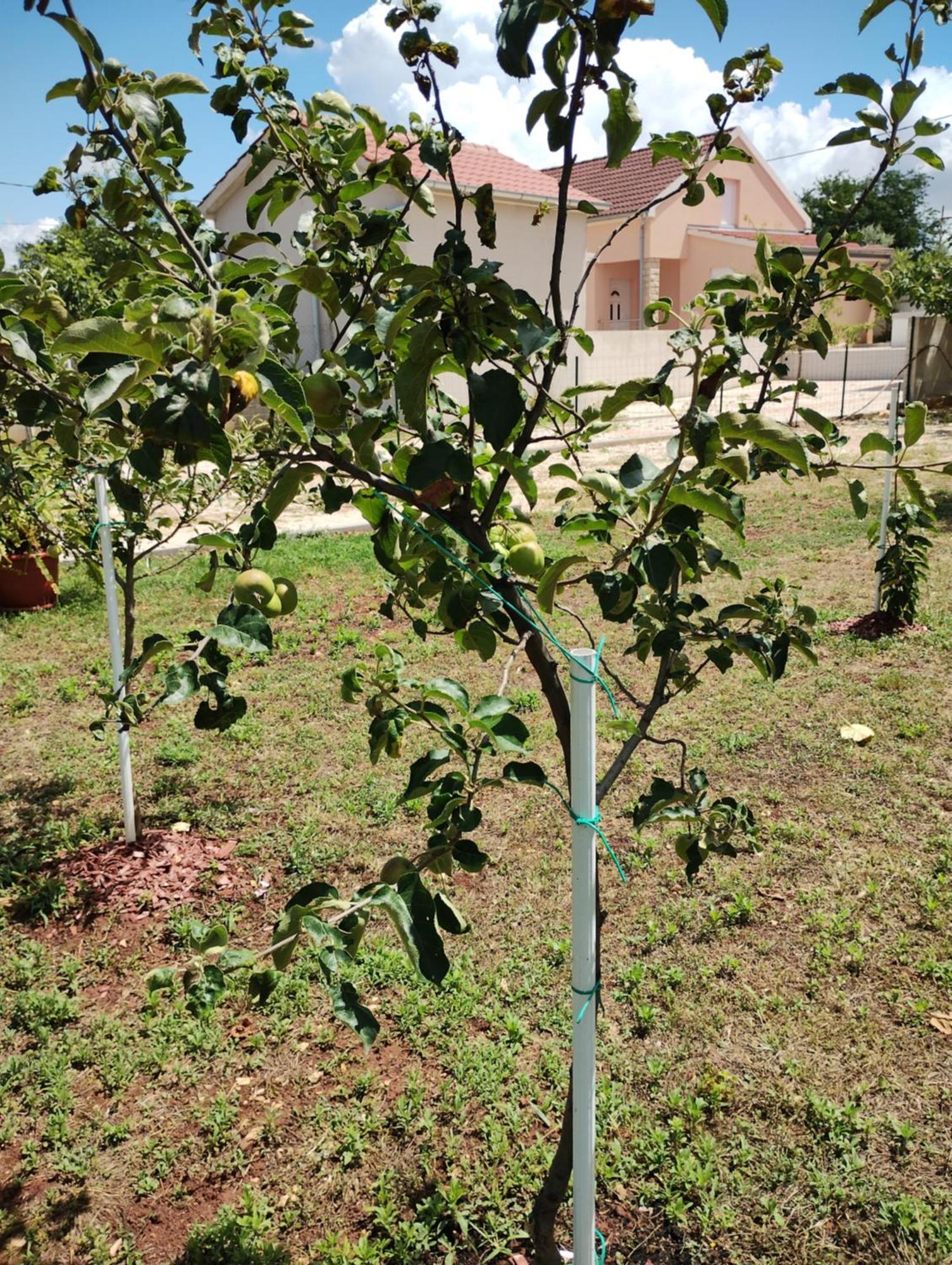 Murvica  Apartman Enia מראה חיצוני תמונה