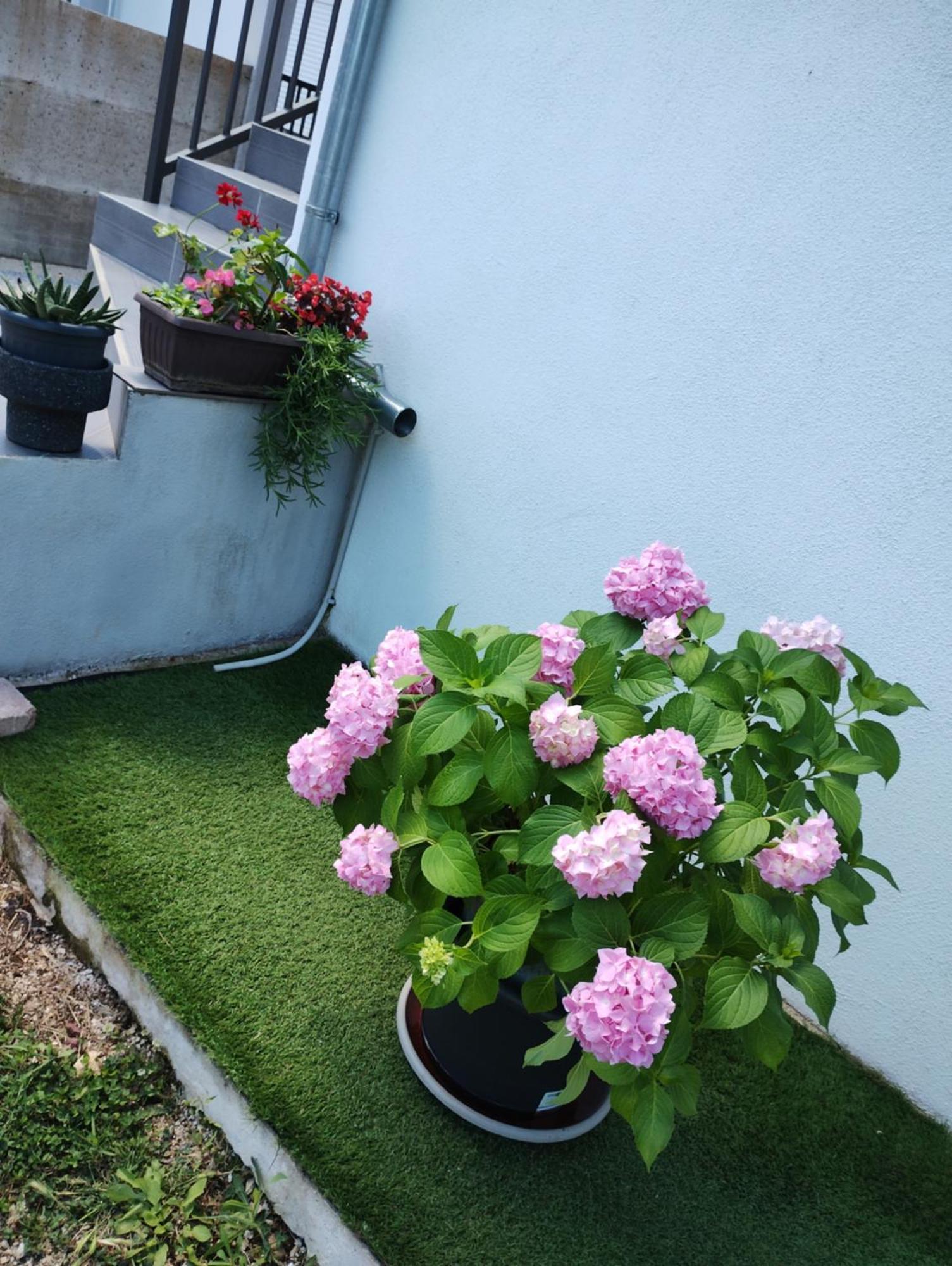 Murvica  Apartman Enia חדר תמונה